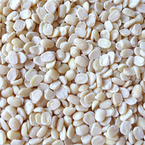 Urad Beans